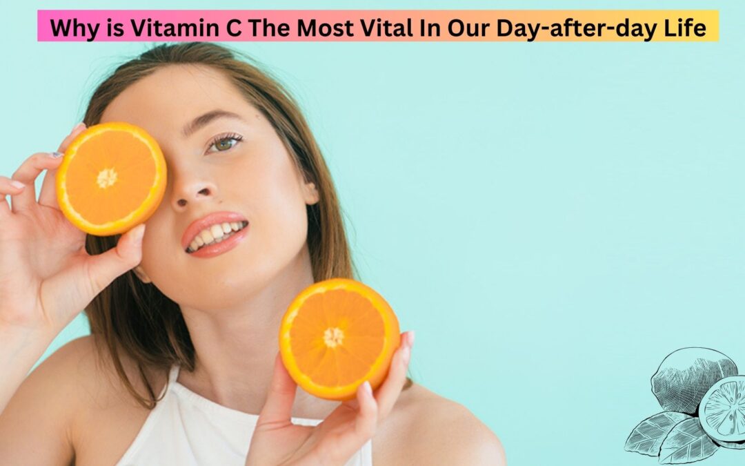 Why is Vitamin C The Most Vital In Our Day-after-day Life