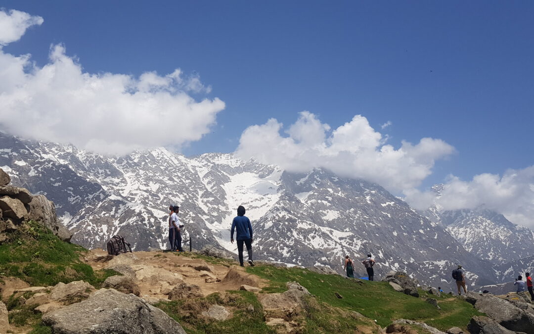 Triund Trek: Explore the Serene Beauty of the Himalayan Meadows