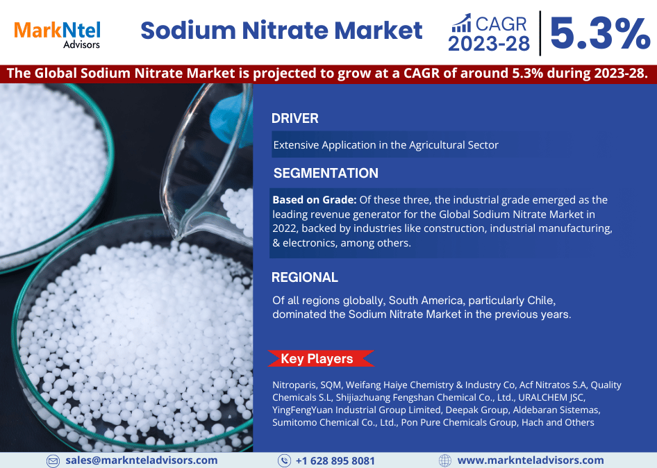 Sodium Nitrate Market Emerging Trends, Growth Potential, and Size Evaluation | Forecast 2023-28