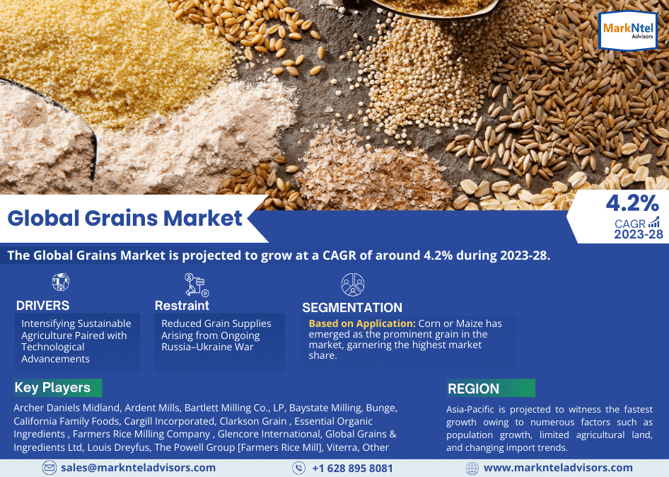 Global Grains Market: Trends, Drivers, and Challenges | Key Players- Viterra, Farmers Rice Milling Company