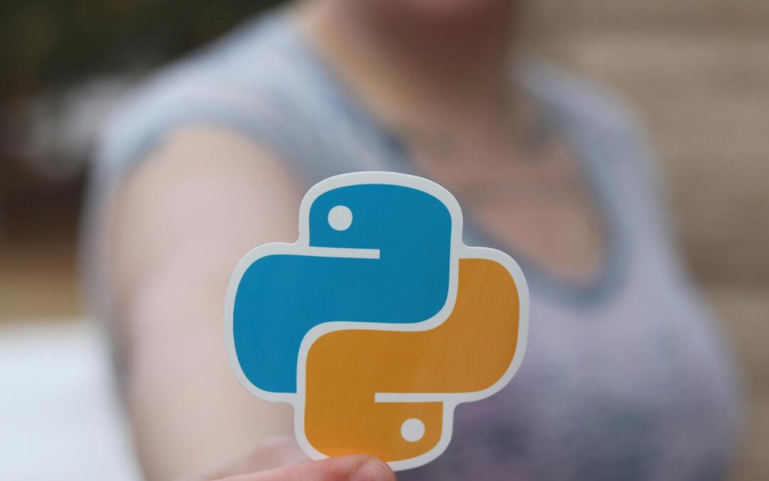 python backend developer