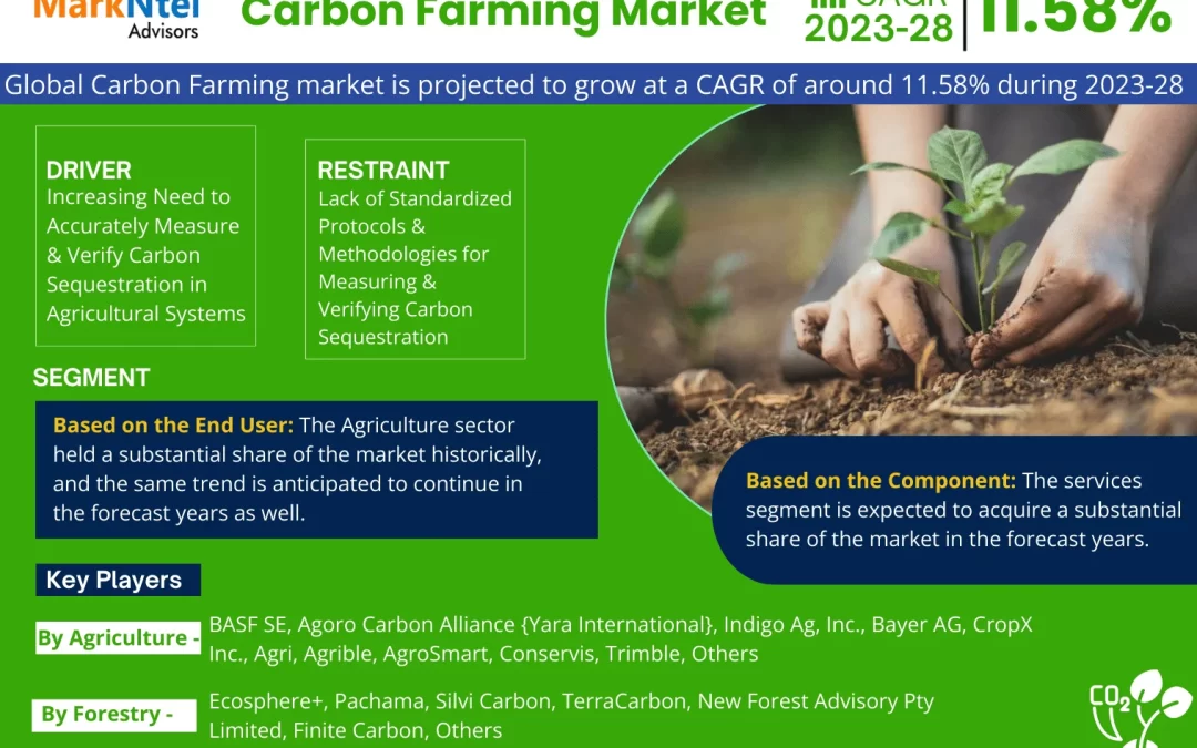 Carbon Farming Market Business Strategies and Massive Demand by 2028 Market Share | Revenue and Forecast