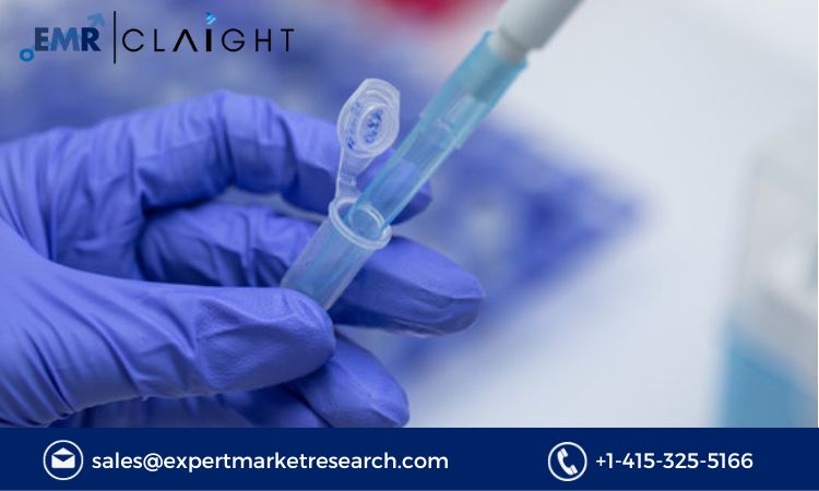 The DNA Sequencing Products Market: A Deep Dive into the Future of Genomics 2024-2032