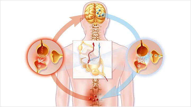 Navigating the Maze of Neuropathic Pain: Insights and Strategies