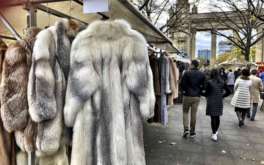 chinchilla fur coat price