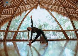 Who Should Do The 500 Hour Yoga Teacher Training in Bali?