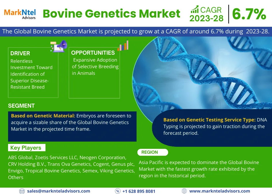 Bovine Genetics Market Expects CAGR Growth to Approx. 6.7% by 2028 As Revealed in New Report