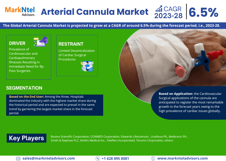 Arterial Cannula Market Expects CAGR Growth to Approx. 6.5% by 2028 As Revealed in New Report