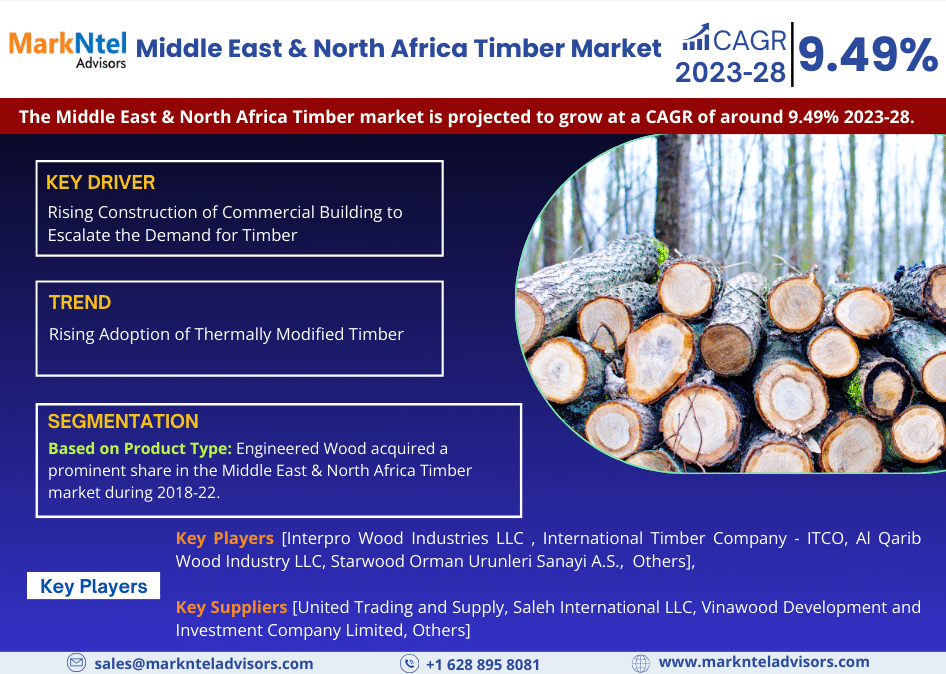 Middle East & North Africa Timber Market Business Strategies and Massive Demand by 2028 Market Share | Revenue and Forecast