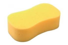 Unlocking the Potential of your Sponge