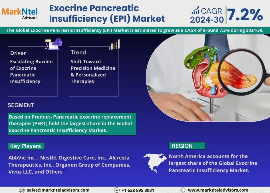 Tamaño del mercado, participación y pronóstico de crecimiento de la insuficiencia pancreática exocrina (EPI) | Se espera un crecimiento CAGR del 7,2%