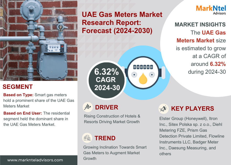 United Arab Emirates (UAE) Gas Meters Market Report 2030: Analysis of Market Size, CAGR, Profitable Segments, and Leading Regions