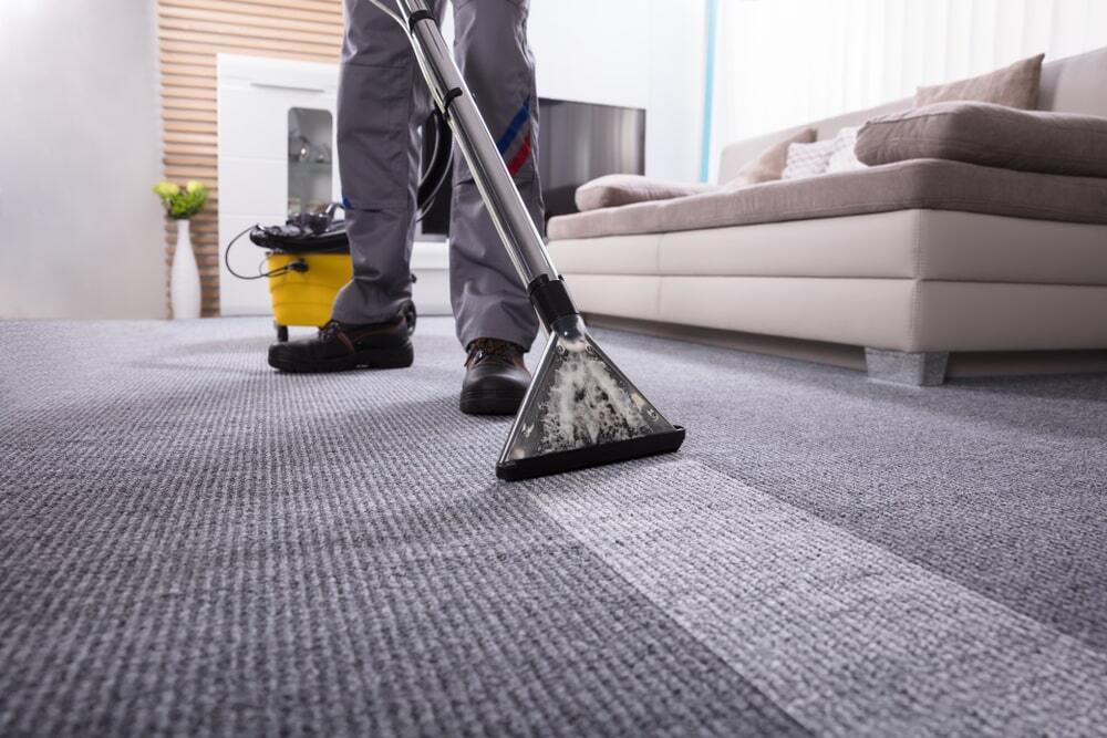 Professional Carpet Cleaning: Elevating Home Interiors