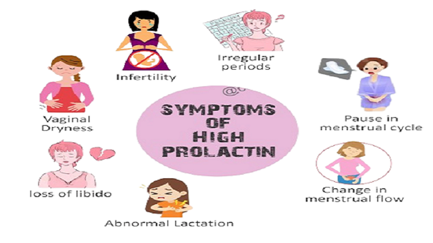 Exploring the Negative Aspect of Prolactin: What You Need to Know