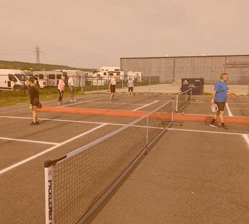 Mastering the Art of learn to play Pickleball