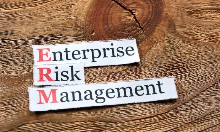 Enterprise Risk Management Market Size, Share & Growth