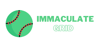 From Baffled to Brilliance: Tips for Tackling Immaculate Grid Puzzles