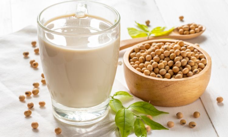 Soy Protein Market Size, Share, Trend & Analysis