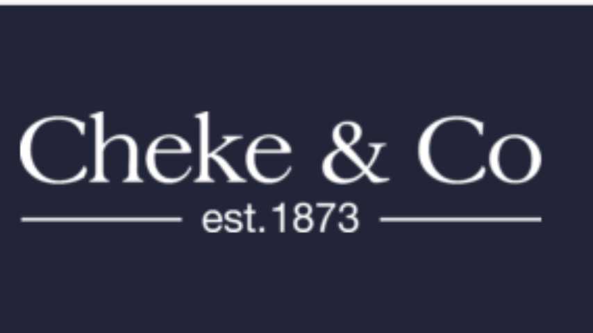 The Impact of Chartered Surveyors on Property Development