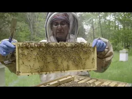 Protect Your Bees with Varroxsan: A Comprehensive Guide