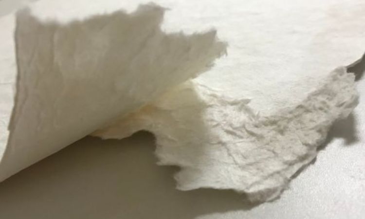 Bleached Kraft Pulp Market Size, Share, Analysis: 2024-2032