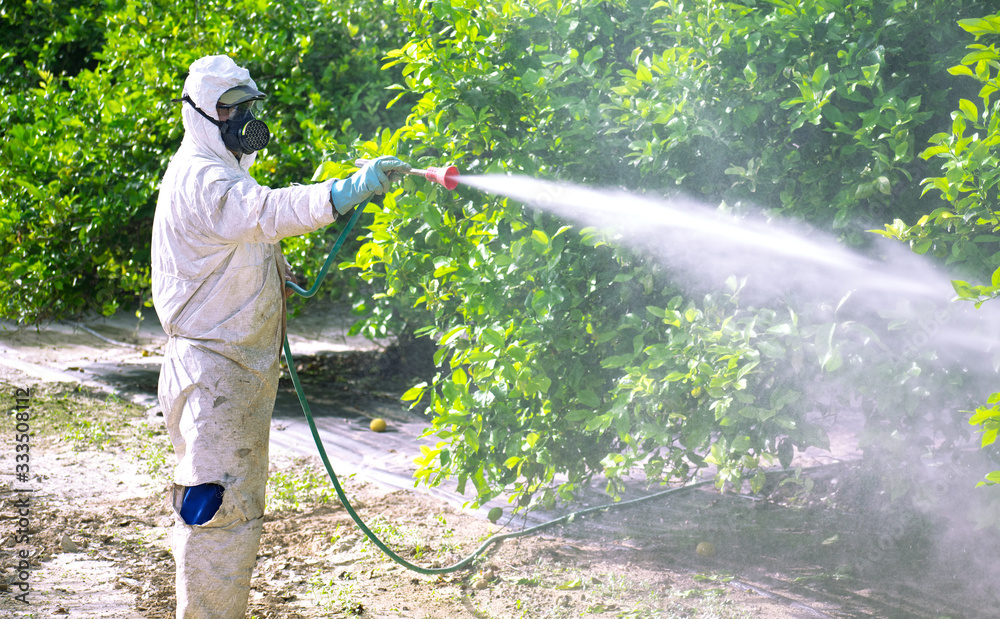 Fumigation Service in Islamabad and Pest Control service