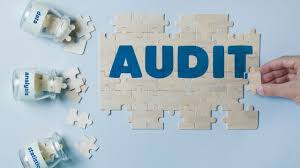 How Does the Audit Process Ensure Transparency and Financial Integrity?