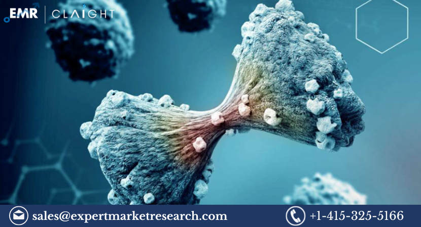 Radiotheranostics Market Size