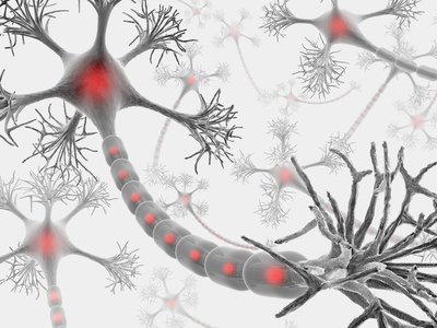 A cluster of neurons displaying red spots, illustrating neural activity or specific cellular features.