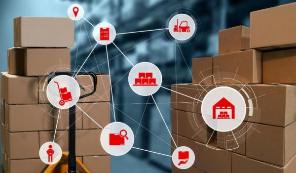 Mastering Cold Chain Logistics Management for Success