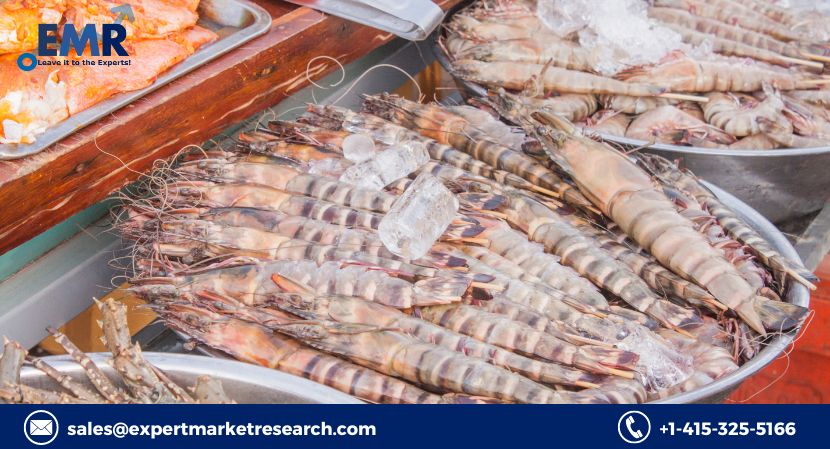 Shrimp Market (2024-2032): Growth Trends, Key Drivers, and Future Outlook