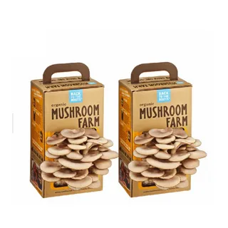 Custom Mushroom box | Mushroom box near me Canada